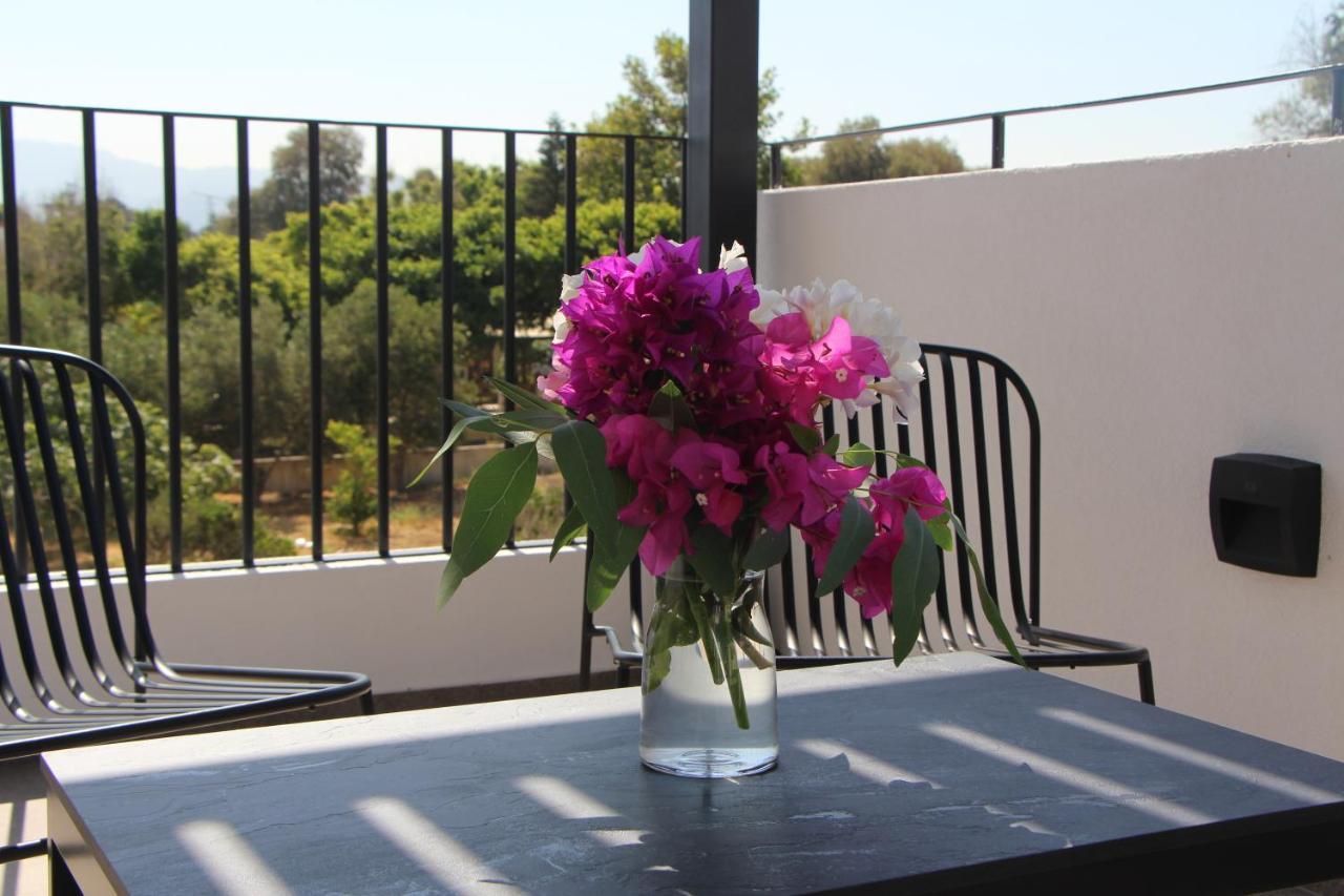 Chill And Thrill Apartament